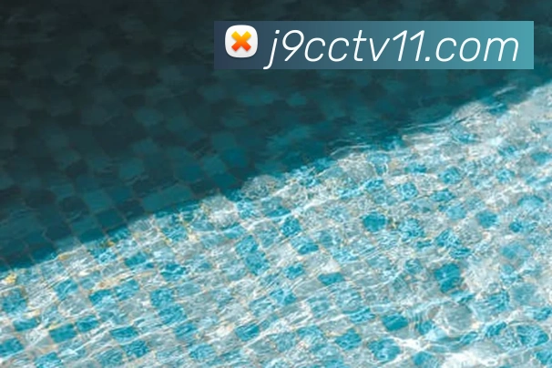 奖项图1